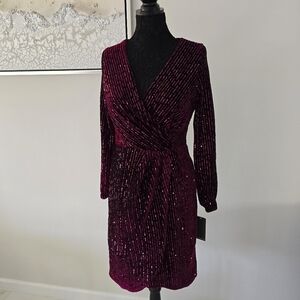 Burgundy (Wine) Glitzy Dress